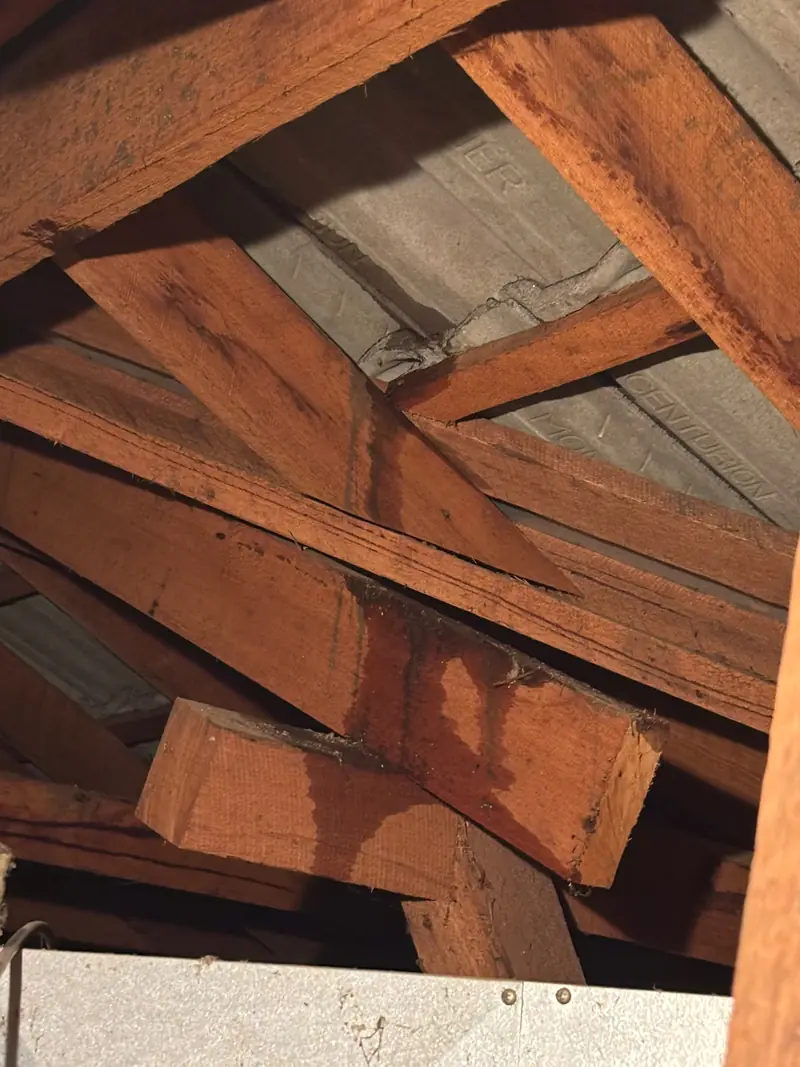 Water staining on roof timbers inside a roof space from an old leak