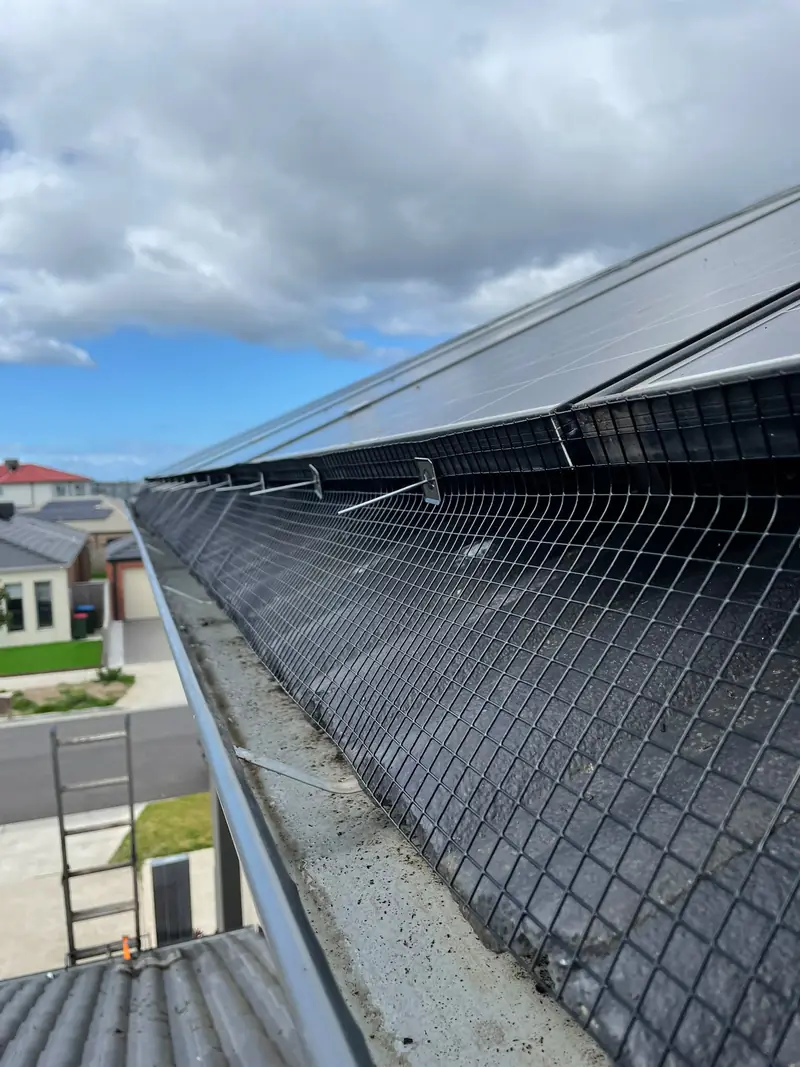 Close-up of metal bird mesh clipped along the lower edge of solar panels above a gutter
