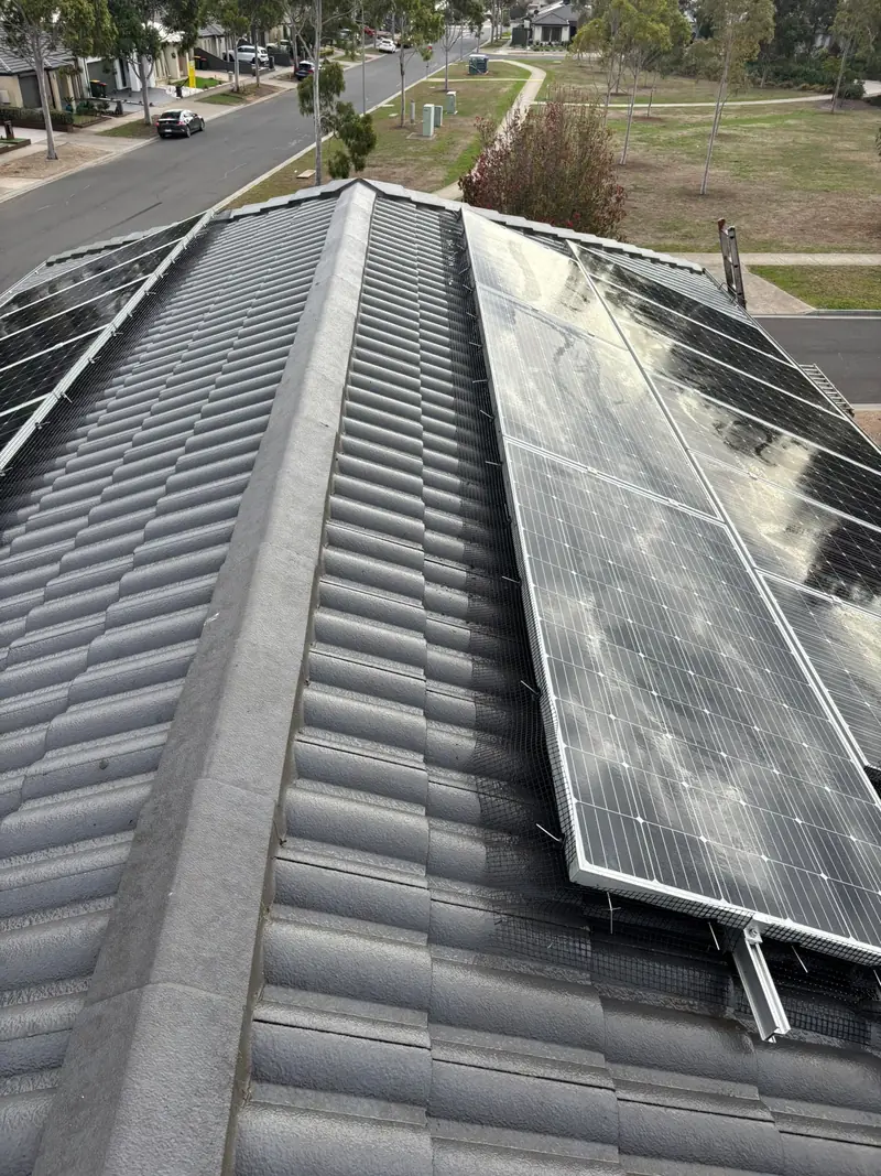 Solar panels beside a ridge with bird proofing mesh fitted below them