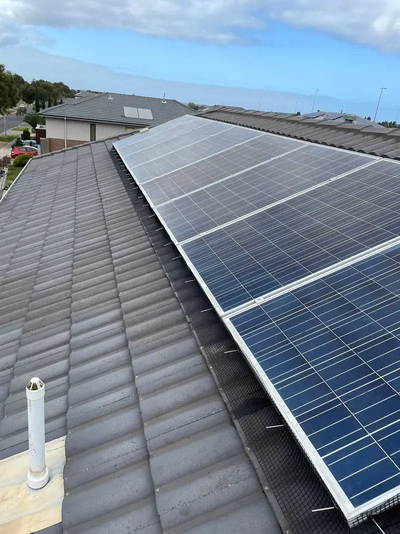 Solar panels on a tile roof with bird mesh along the bottom edge and a white vent pipe