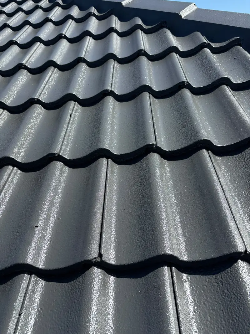 Black painted roof tiles after coating, close-up