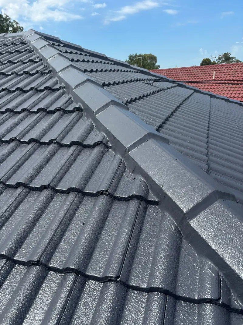 Charcoal painted ridge capping on a tile roof