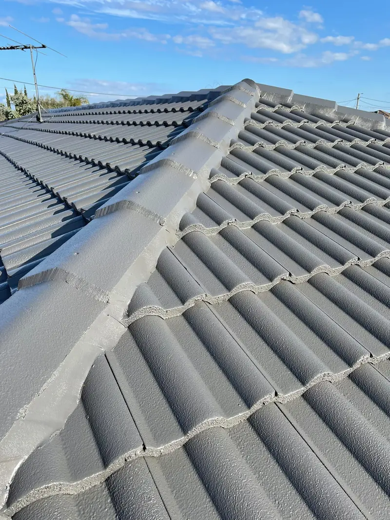 Painted grey tile roof with a finished ridge cap