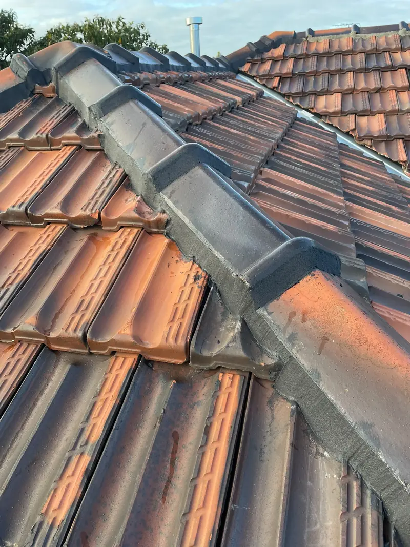 Ridge capping re-pointed in dark grey over weathered terracotta tiles